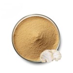 Lion's Mane Extract Supplier - 30% 50% Powder Capsules