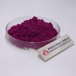 Dragon Fruit Powder Factory - Juice Extract Hot Sales