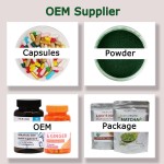 Moringa Powder Factory - Leaf Extract Wholesale