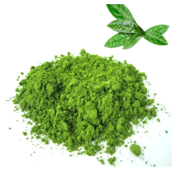 Matcha Powder Manufacturer - Private Label USDA Organic