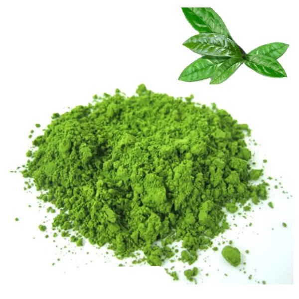 Matcha Powder Manufacturer - Private Label USDA Organic