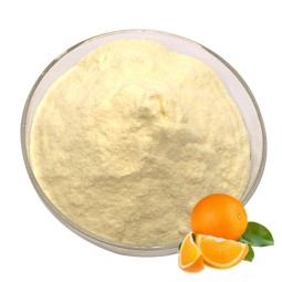 Orange Juice Powder Supplier - Natural Citrus Extract
