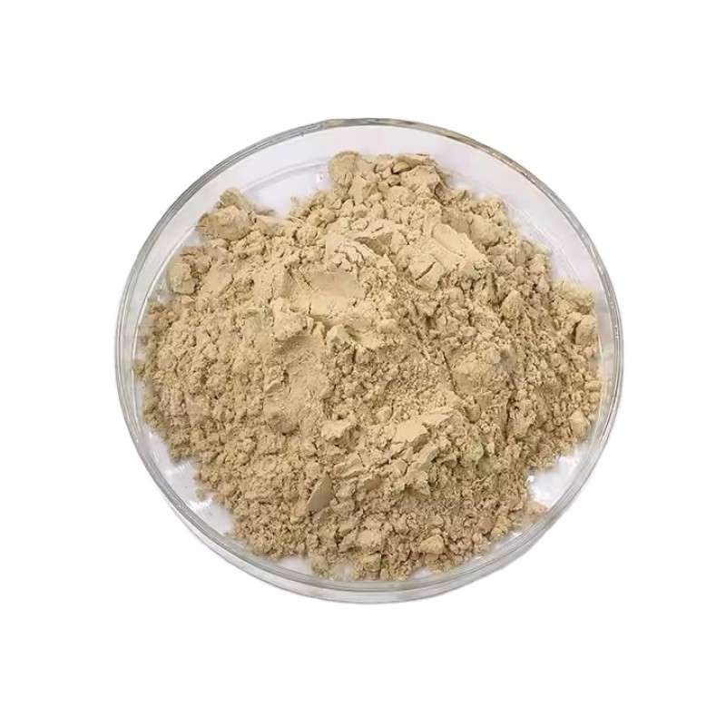 Rice Protein Powder Supplier - 80% Hydrolyzed Food Grade