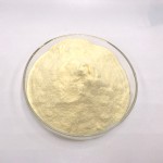 Orange Juice Powder Supplier - Natural Citrus Extract