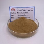 Monk Fruit Extract Manufacturer - 25% Mogroside V Powder