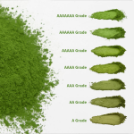 Matcha Powder Factory - Bulk Organic Green Tea