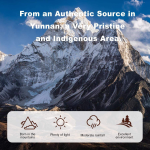 Shilajit Powder Factory - Natural Resin Capsules