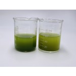 Matcha Tea Powder Manufacturer - Bread Drinks Organic