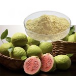 Guava Extract Powder Factory - Organic Freeze Dried