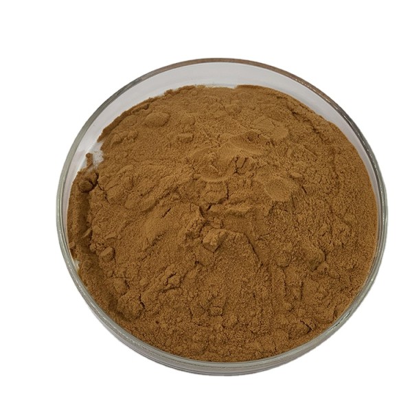 Maitake Mushroom Powder Factory - 50% Polysaccharides 10:1