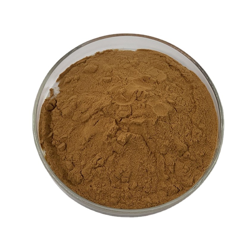Maitake Mushroom Powder Factory - 50% Polysaccharides 10:1