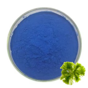 Beta-Carotene Liquid Manufacturer - 30% Carotene Oil