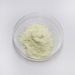 Moringa Powder Factory - Leaf Extract Wholesale