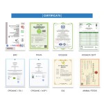 Mung Bean Protein Manufacturer - Peptide Isolate Powder