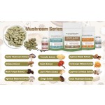 Chaga Mushroom Extract Factory - 30% 50% Polysaccharides