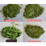 Matcha Tea Powder Manufacturer - 100% Pure Organic