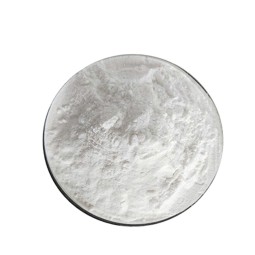 Creatine Monohydrate Manufacturer - 200 Mesh Pure Powder