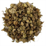 Tribulus Terrestris Extract Manufacturer - Powder Capsules