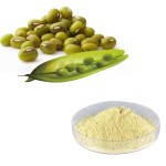 Mung Bean Protein Manufacturer - Peptide Isolate Powder