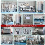 Monk Fruit Extract Supplier - 50% Mogroside V Powder