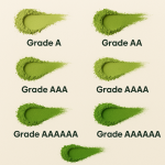 Matcha Powder Factory - Bulk Organic Green Tea