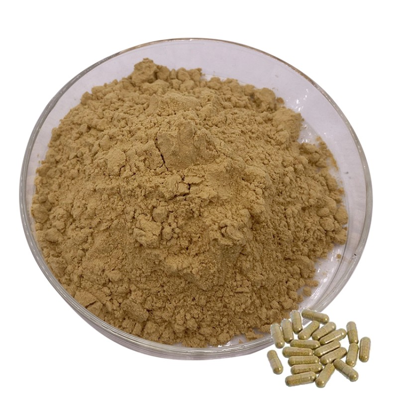 Ashwagandha Extract Supplier - 5% Withanolide Vegan