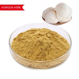 Lion's Mane Extract Factory - Custom Packaging OEM