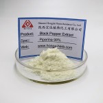 Moringa Powder Factory - Leaf Extract Wholesale