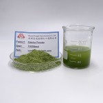 Matcha Powder Factory - Ceremonial Grade Pure Green