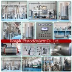 Pumpkin Seed Protein Supplier - Seed Extract Fatty Acid