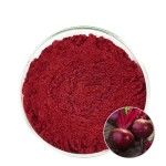 Beet Powder Manufacturer - Organic Red Root Custom