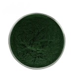 Spirulina Powder Factory - Aquarium Fish Food Grade