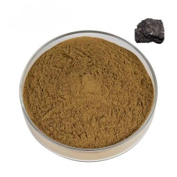 Shilajit Powder Factory - Natural Resin Capsules