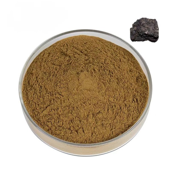Shilajit Powder Factory - Natural Resin Capsules