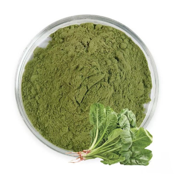 Red Spinach Extract Supplier - 10:1 Freeze Dried Powder