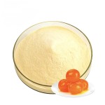 Egg Yolk Powder Manufacturer - Hydrolysed Food Grade