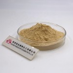 Grapefruit Extract Supplier - 98% Naringin Powder
