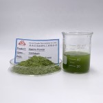 Organic Matcha Supplier - Ritual Grade Pure Powder