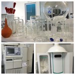 Monk Fruit Sweetener Manufacturer - 10:1 20:1 Extract Powder