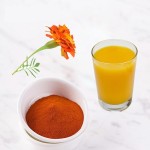 Sophora Japonica Extract Manufacturer - 95% Rutin Powder