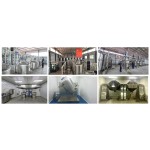 Sophora Japonica Extract Manufacturer - 95% Rutin Powder