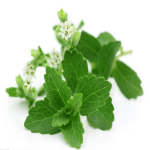 Spirulina Powder Factory - 100% Organic OEM Service