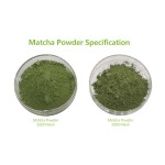 Matcha Tea Powder Manufacturer - Bread Drinks Organic