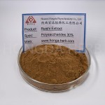 Reishi Mushroom Powder Manufacturer - USDA Organic Extract