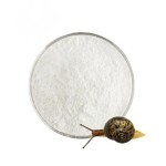 Snail Slime Extract Manufacturer - Powder Cosmetic