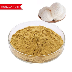 Lion's Mane Powder Supplier - Organic Mushroom Extract