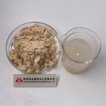 Pea Protein Concentrate Supplier - Vegetarian Meat Powder