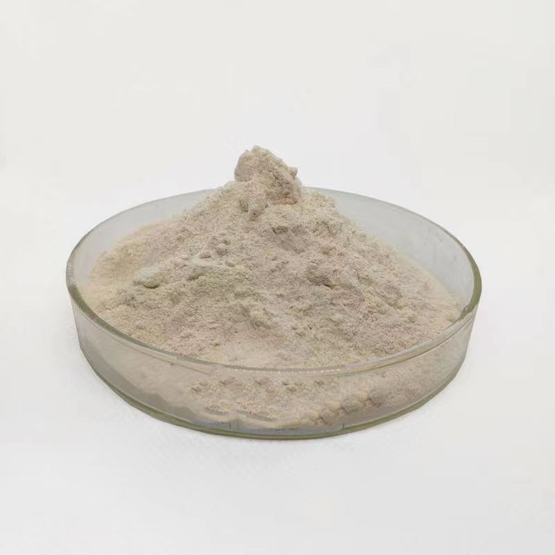 Tremella Extract Supplier - Mushroom Powder Polysaccharide