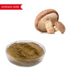 Shiitake Mushroom Extract Manufacturer - 30% Polysaccharides