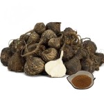 Black Maca Extract Manufacturer - Root Powder Capsules